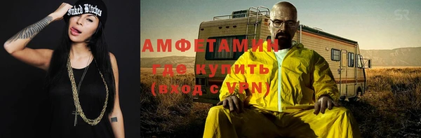 гидра Богородск