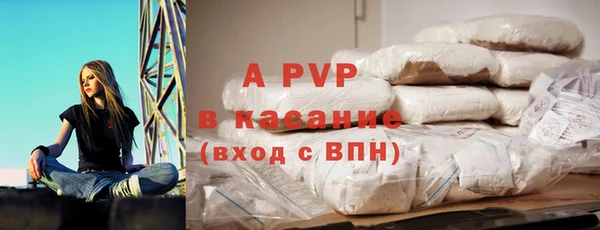 гидра Богородск