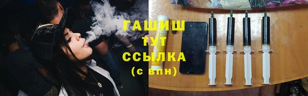гидра Богородск