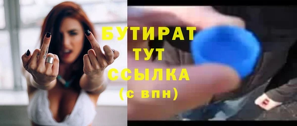 гидра Богородск