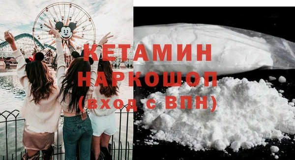 гидра Богородск