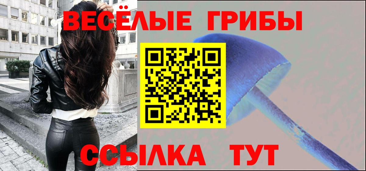 Воскресенск  Галлюциногенные грибы GOLDEN TEACHER  Вход с VPN 