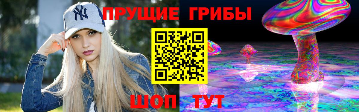 Псилоцибиновые грибы Psilocybine cubensis Воскресенск